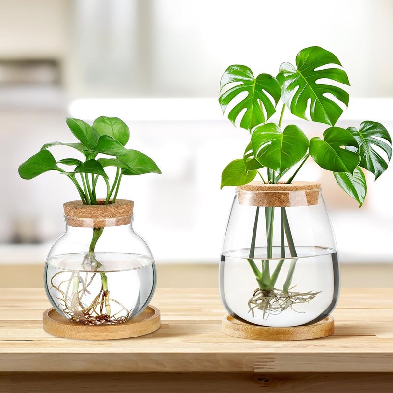 Layhit 4 Pcs Plants Propagation Stations vases Glass Planters with Wooden Lid and Bamboo Stand for Hydroponic Plants Gardening Gifts for Women Mom Home Office Tabletop Decoration(Lovely Style) - Image 2